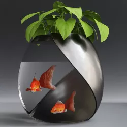 Aquarium 3D model
