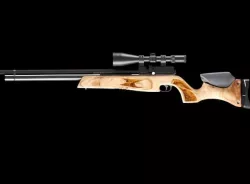 Assault Rifle  3D model