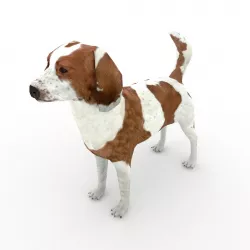 Beagle dog Low-poly  3D model