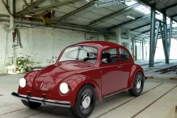 Beetle 3D model