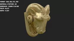 Big horn sheep head 3D model