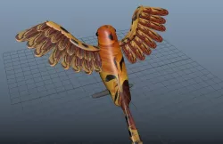 bird model 3D model