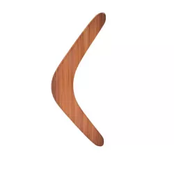 Boomerang 3D model