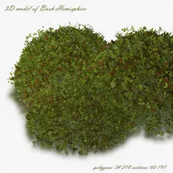 Bush Hemisphere 3D model