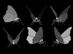 butterfly 3D model