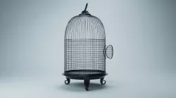 Butterfly cage 3D model