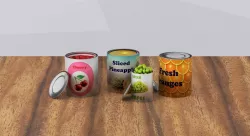 Canned Frozen fruits 3D model