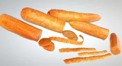 Carrot 3D model