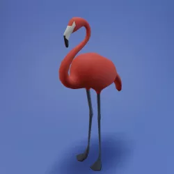 Cartoon Flamingo 3D model