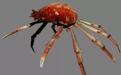 CRAB LOW POLY 3D model