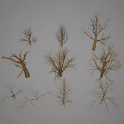 Dead Tree pack - Low Poly Low-poly  3D model