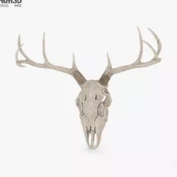 Deer Skull 3D model