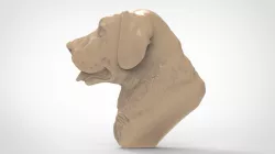 Dog face 3D models for artcam and aspire 3D model