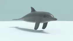 DOLPHIN 3D model