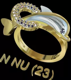 Dolphin rings 3D model
