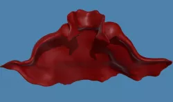 Dr Strange Cape of Levitation 3D model