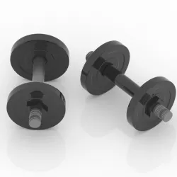 Dumbbells 3D model