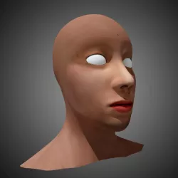 Female Human Head 3D model