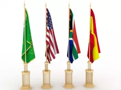FLAG MODEL  3D model