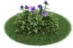 flower 3D model
