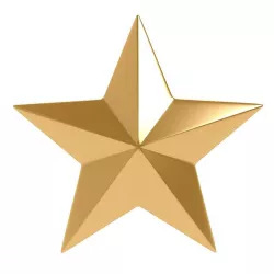 Gold Star 3D model