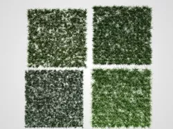 Grass 3D model