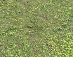 Grass terrain pack 2 Texture