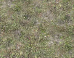 Grass terrain pack 4 Texture