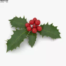 Holly 3D model