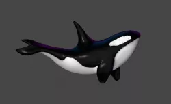 Kasatka 3D model