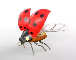 Ladybug Rigged Low-poly  3D model