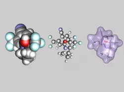 Ligandrol molecule 3D model