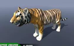 Lowpoly Tiger Rigged 3D model Low-poly  3D model