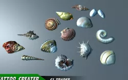 Lowpoly Under Water Shell Collection Pack 3d model Low-poly  3D model