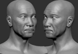 Male Head 3D model