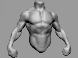 Male Torso v4 3D model