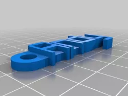 My Customized Message Keychain