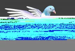 pigeon 3D model