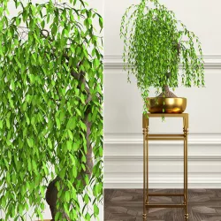 PLANTS 18 3D model