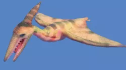 pteranodon dinosaur 3D model