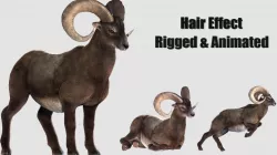 ram goat sheep lamb hair effected  3D model