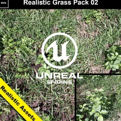 Realistic Grass Pack 02 - Unreal Engine 4  Low-poly  3D model