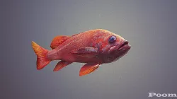 Red Fish 3D model