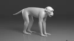 Rhesus Macaque Monkey - Highpoly Sculpture 3D model