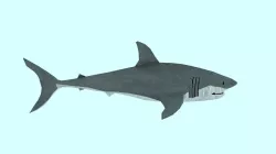 shark made in blender Low-poly  3D model