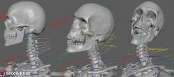 maya animation rigs 3D Models | Page 1 | STLFinder