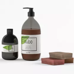 Soap Set 3D model