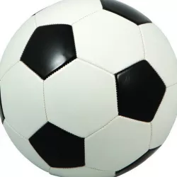 Soccer 3D model
