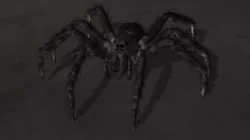 spider 3D model