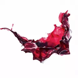 Splash 14 3D model